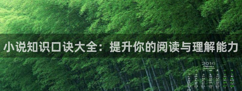 夜无疆奇书网：小说知识口诀大全：提升你的阅读与理解能力