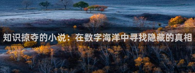 奇书网电子书免费下载：知识掠夺的小说：在数字海洋中寻找隐藏的真相