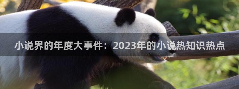 奇书网电子书txt下载：小说界的年度大事件：2023年的小说热知识热点